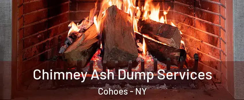  Chimney Ash Dump Services Cohoes - NY