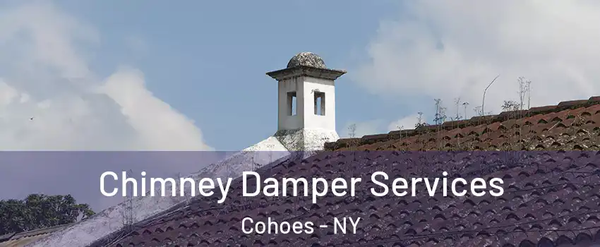  Chimney Damper Services Cohoes - NY