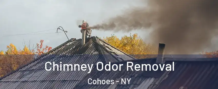  Chimney Odor Removal Cohoes - NY