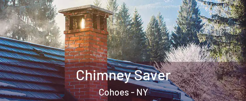 Chimney Saver Cohoes - NY