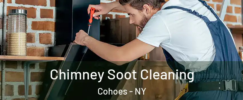 Chimney Soot Cleaning Cohoes - NY