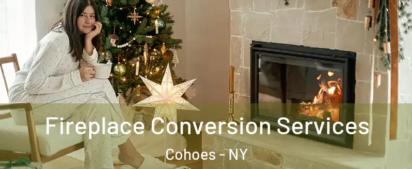  Fireplace Conversion Services Cohoes - NY