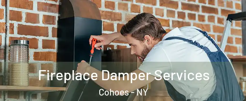  Fireplace Damper Services Cohoes - NY