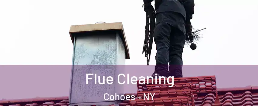 Flue Cleaning Cohoes - NY