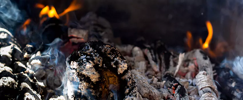 Creosote Removal Experts in Cohoes, NY