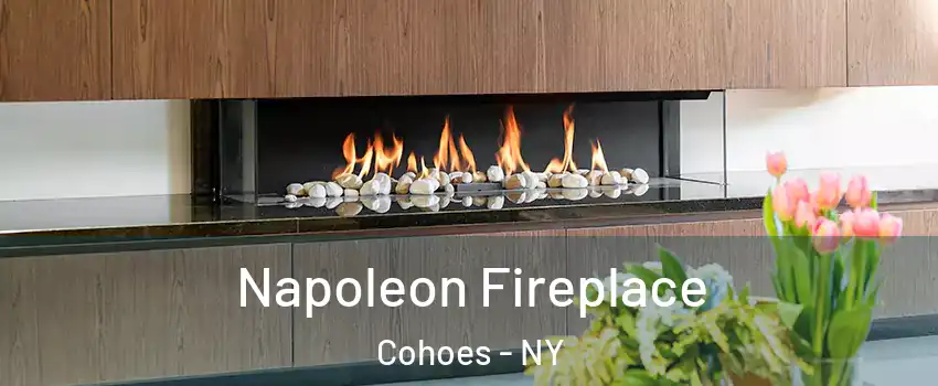  Napoleon Fireplace Cohoes - NY