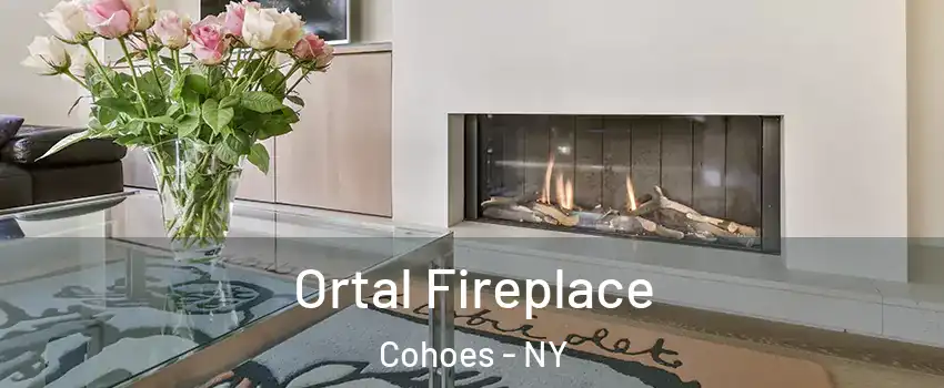 Ortal Fireplace Cohoes - NY